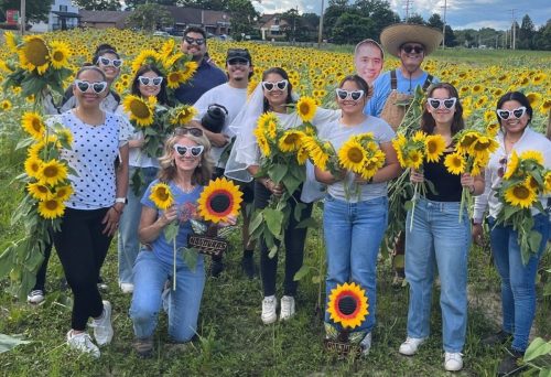 Sunflowers